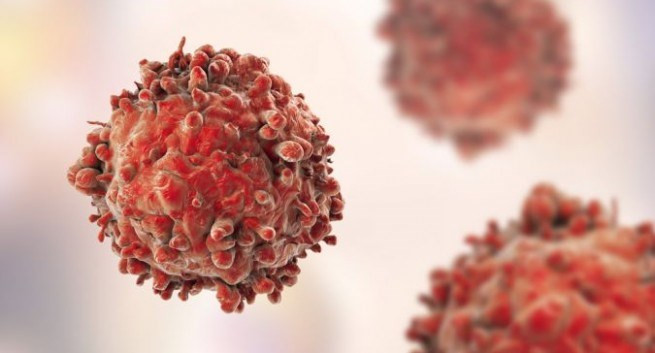 (Nguồn: TheHealthSite.com) (Nguồn: TheHealthSite.com)