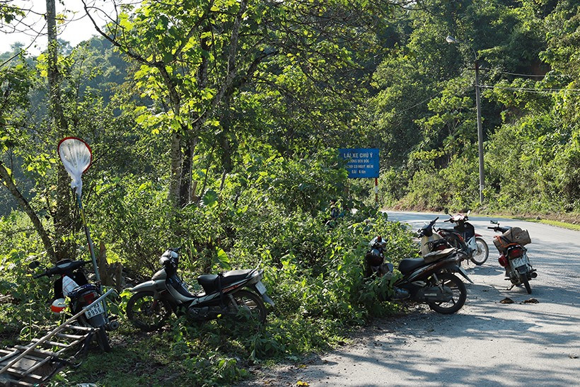  Xác định điểm “hạ trại” có nhiều ong di cư