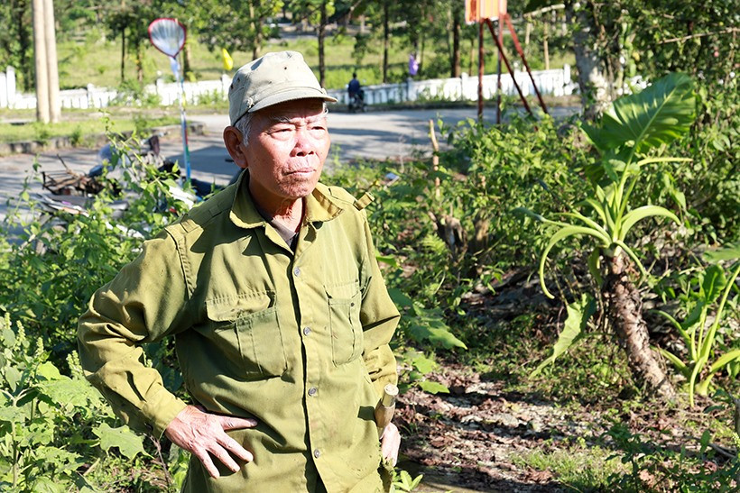 Những “thợ săn” lão luyện đang lắng nghe tiếng bay của ong sứ
