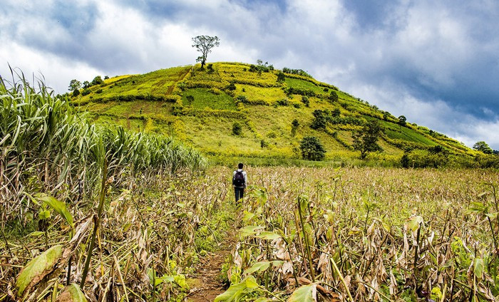Một cung đường lên núi lửa