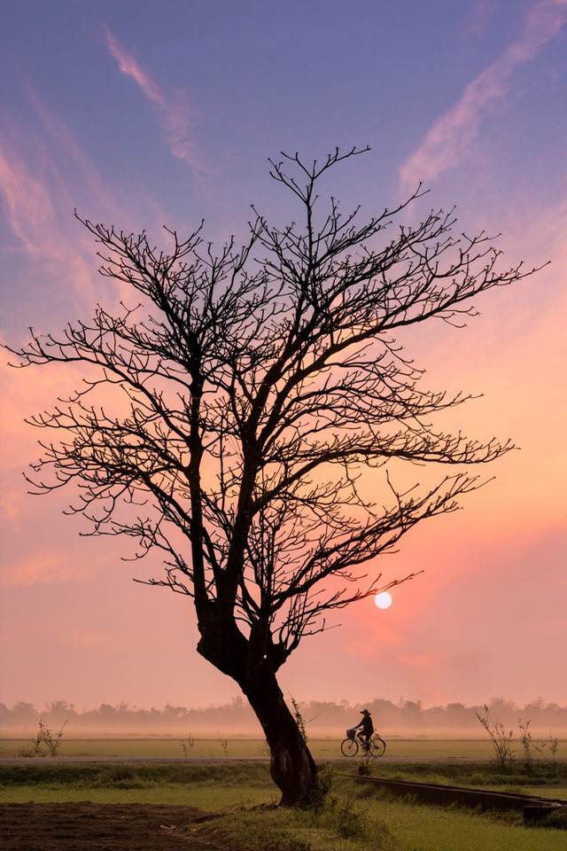 Khung cảnh thiên nhiên đồng quê