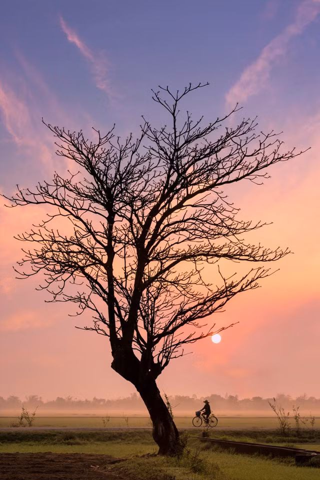 Khung cảnh thiên nhiên đồng quê