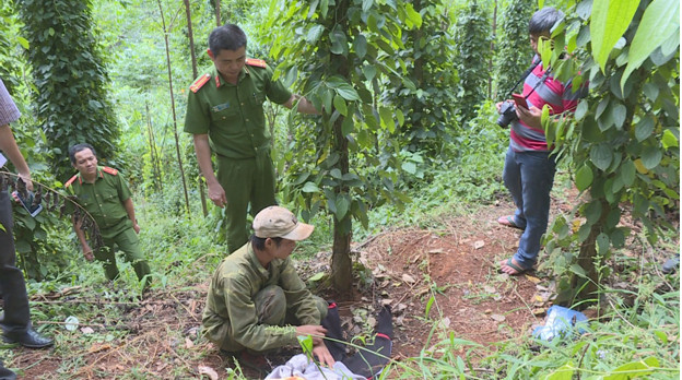 Thực nghiệm hiên trường vụ án hiếp dâm nơi rẫy vắng.