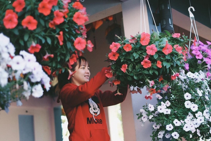Để duy trì hoa nở quanh năm, mỗi ngày nhân viên của quán phải chăm sóc, tưới trồng thật kỹ từng chậu.