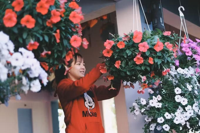 Để duy trì hoa nở quanh năm, mỗi ngày nhân viên của quán phải chăm sóc, tưới trồng thật kỹ từng chậu.