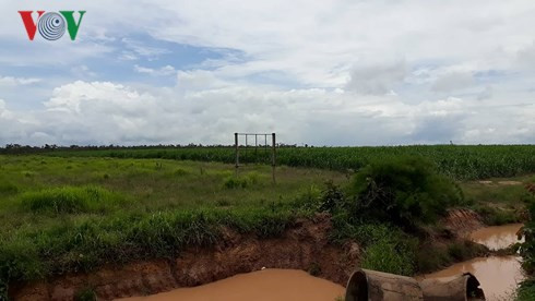  Một dự án ở Ya Tờ Mốt- rừng đã biến thành đất hoang và mía; không người phụ trách, doanh nghiệp bỏ bảng hiệu trơ khung.