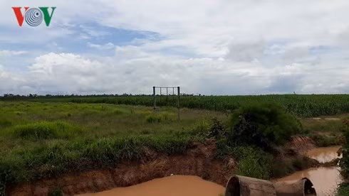  Một dự án ở Ya Tờ Mốt- rừng đã biến thành đất hoang và mía; không người phụ trách, doanh nghiệp bỏ bảng hiệu trơ khung.