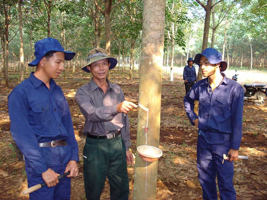  Doanh nghiệp đóng BHXH đầy đủ sẽ giúp người lao động yên tâm công tác. Ảnh: N.N