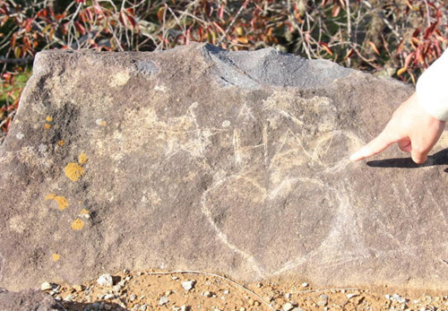 Giới chức địa phương cho biết sẽ truy tìm thủ phạm và xử lý theo đúng quy định của pháp luật ẢNH: NHẬT BÁO ASAHI