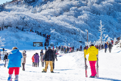 Ngoài những môn thể thao ngoài trời, mùa đông Hàn Quốc còn nổi tiếng với nhiều lễ hội truyền thống.