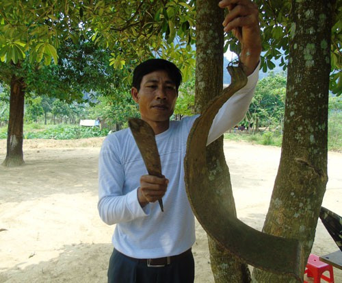  Thầy Sáu gõ kẻng để gọi học sinh mình đến lớp
