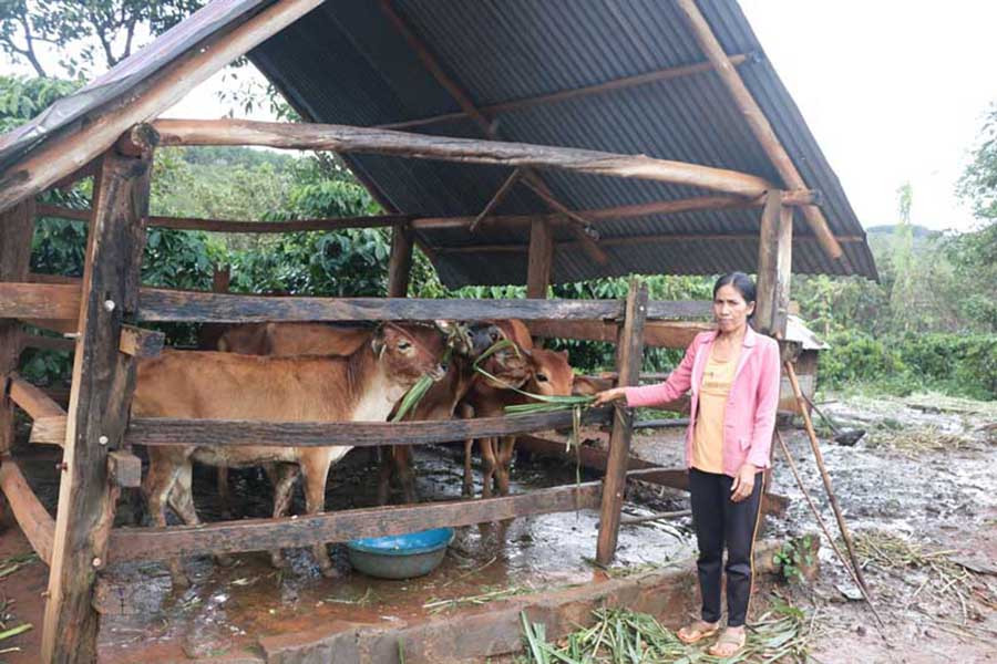  Hỗ trợ vay vốn, tạo sinh kế là giải pháp trọng tâm được huyện Đức Cơ thực hiện nhằm giúp hộ nghèo vươn lên. Ảnh: H.T