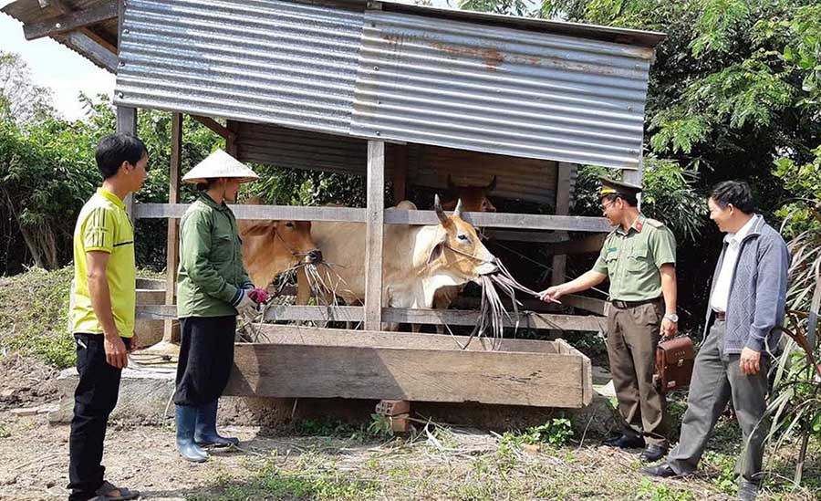 Cán bộ Công an huyện Kbang hướng dẫn chị Đinh Thị Dranh (làng Kuk, xã Tơ Tung) kỹ thuật chăm sóc bò. Ảnh: Hà Duyệt  Cán bộ Công an huyện Kbang hướng dẫn chị Đinh Thị Dranh (làng Kuk, xã Tơ Tung) kỹ thuật chăm sóc bò. Ảnh: Hà Duyệt