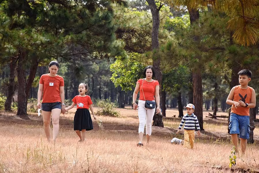 Du khách thích thú khi tham quan đồi cỏ hồng-Ảnh Trần Dung