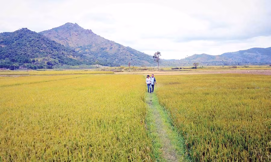  Cánh đồng Ngô Sơn được bao bọc bởi những dãy núi hùng vĩ. Ảnh: P.V