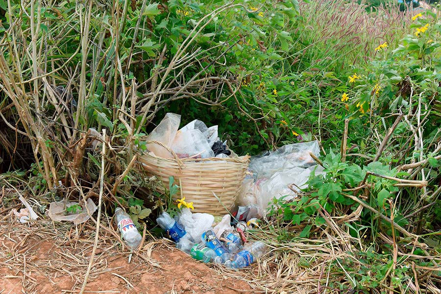 Ảnh: Đức Thụy