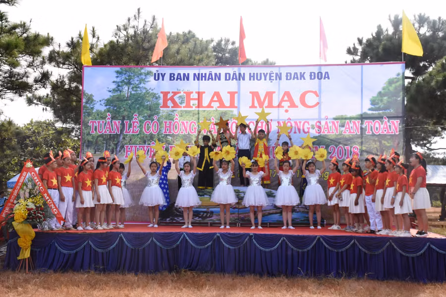 Khai mạc Tuần lễ cỏ hồng và Hội chợ nông sản an toàn. Ảnh: Trần Dung