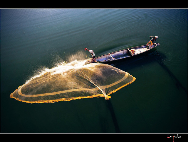 Cảnh tung chài bắt cá trên sông
