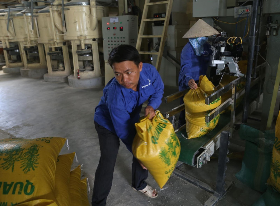 Các thị trường có giá trị xuất khẩu tăng mạnh là Trung Quốc, Indonesia, Philippines và Malaysia. Ảnh: Vũ Sinh/TTXVN.