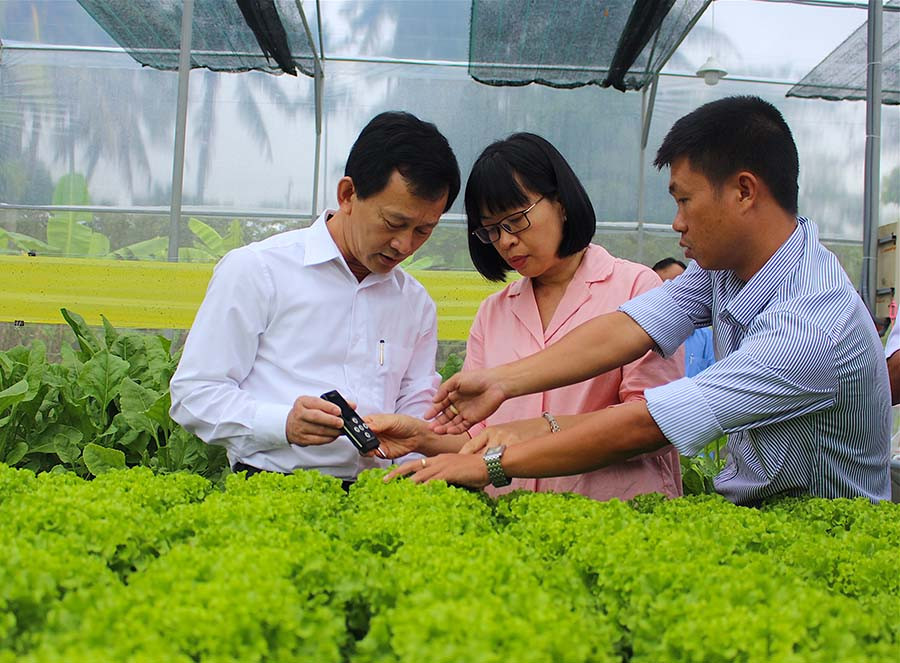 Bí thư Tỉnh ủy Dương Văn Trang (bìa trái) kiểm tra nồng độ Nitrat tồn đọng trong rau tại vườn rau thủy canh của một thành viên HTX Dịch vụ-Nông nghiệp An Bình. Ảnh Hồng Thi
