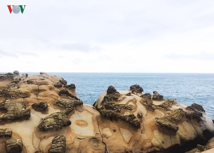  Bãi đá hình củ gừng.