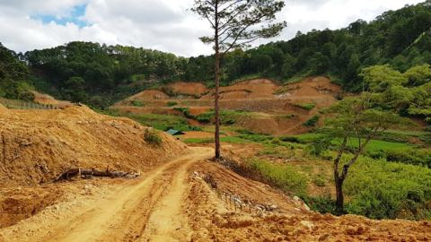 Hiện trường đất lâm nghiệp ở tiểu khu 267C bị san gạt, lấn chiếm trái phép. Ảnh: TNO