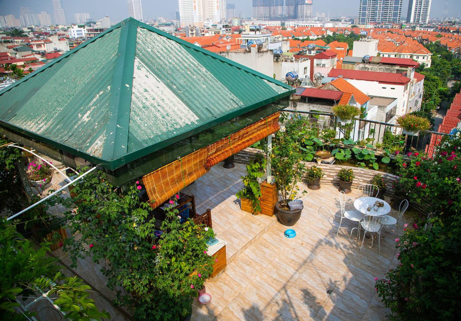 Khi làm khu vườn, chị Thúy đã tính đến vườn trên cao có ưu điểm là ít sâu bệnh, nhưng nắng gió sẽ nhiều hơn, không khí khô hơn nên cần thiết phải làm một ao sen để hơi nước bốc lên tạo thêm độ ẩm cho cây. Khi làm khu vườn, chị Thúy đã tính đến vườn trên cao có ưu điểm là ít sâu bệnh, nhưng nắng gió sẽ nhiều hơn, không khí khô hơn nên cần thiết phải làm một ao sen để hơi nước bốc lên tạo thêm độ ẩm cho cây.
