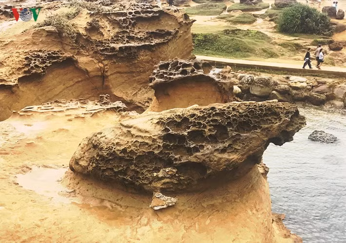 Những tảng đá hình tổ ong.