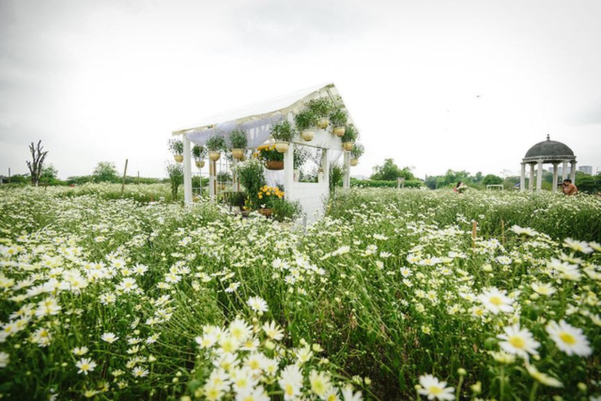  Bạn Lê Minh Quỳnh chia sẻ: 