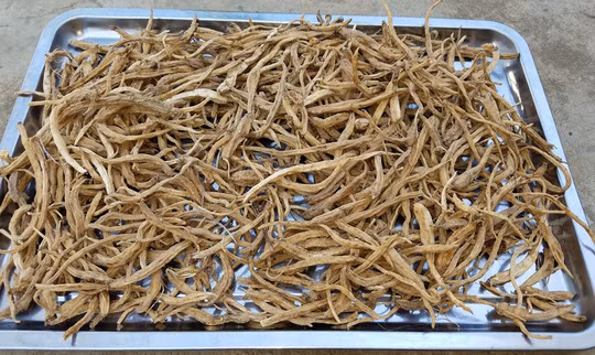 Sâm dây được phơi khô đóng bì được rất nhiều người ưa thích, mua về làm quà biếu. (ảnh minh họa, nguồn internet)