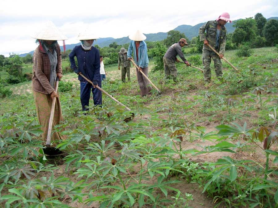  Hàng trăm hộ dân khốn khổ vì tín dụng đen. Ảnh: Đức Phương