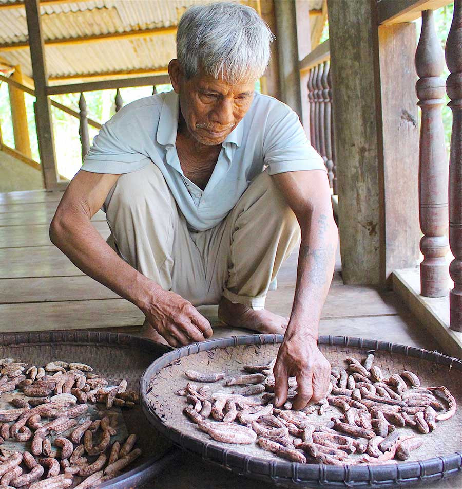  Trồng chuối rừng là mô hình kinh tế hiệu quả đang được già Ích thực hiện và hướng dẫn lại cho bà con làng Doch 2 để vươn lên thoát nghèo. Ảnh: H.T