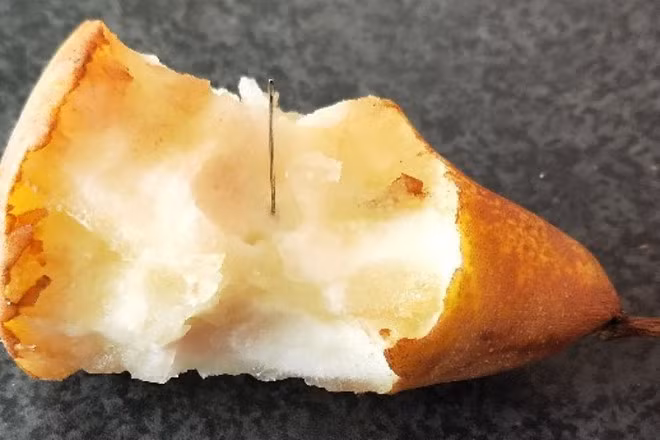 Quả lê với kim khâu bên trong. Ảnh: ABC News.