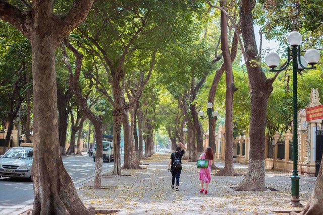 Đường Phan Đình Phùng được mệnh danh là con đường "lãng mạn nhất Hà Nội". Ảnh: Toàn Vũ Đường Phan Đình Phùng được mệnh danh là con đường