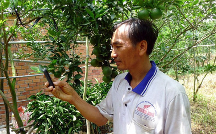 Tưới rau chỉ bằng nút nhấn điện thoại của nông dân thời 4.0. (ảnh internet) Tưới rau chỉ bằng nút nhấn điện thoại của nông dân thời 4.0. (ảnh internet)