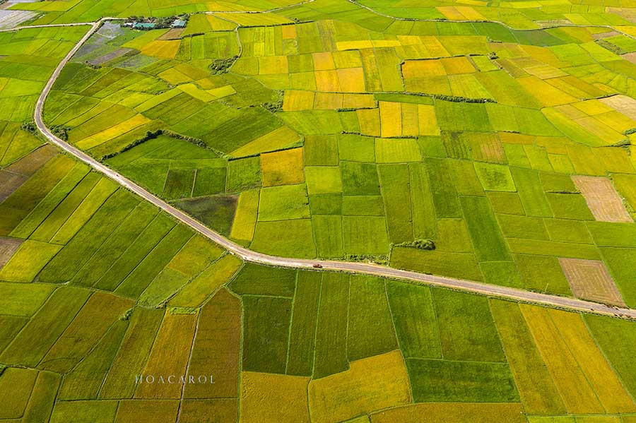 Từ trên cao, cánh đồng Ngô Sơn trong như bức tranh vẽ