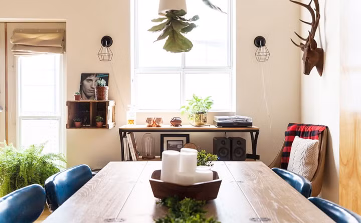 Cây xanh trồng ngược trông giống như đèn treo nhìn rất thú vị.