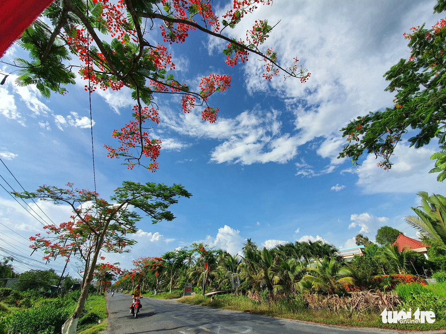 Đường vào khu căn cứ huyện Vĩnh Lợi (Bạc Liêu) - Ảnh: PHAN THANH CƯỜNG