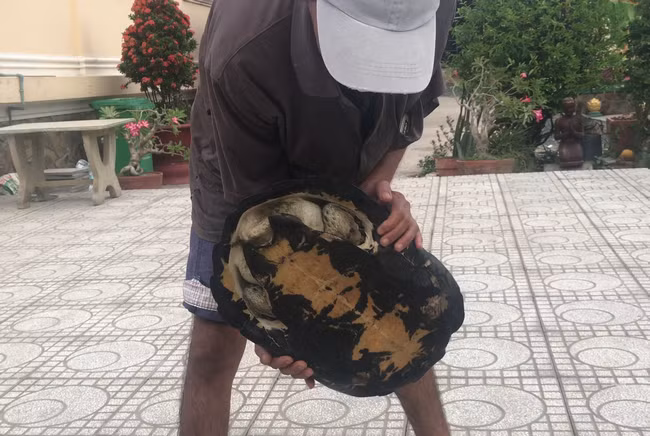  Nhiều người dân hiếu kỳ đã tìm đến chùa Phước Tường để được tận mắt xem con càng đước.