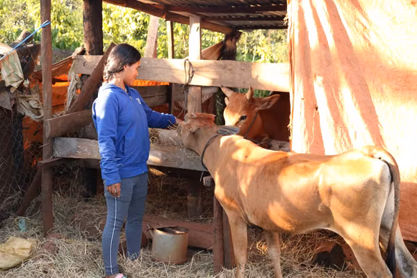 Nhiều hộ dân tộc thiểu số vươn lên thoát nghèo từ các chương trình giảm nghèo. Ảnh: H.S