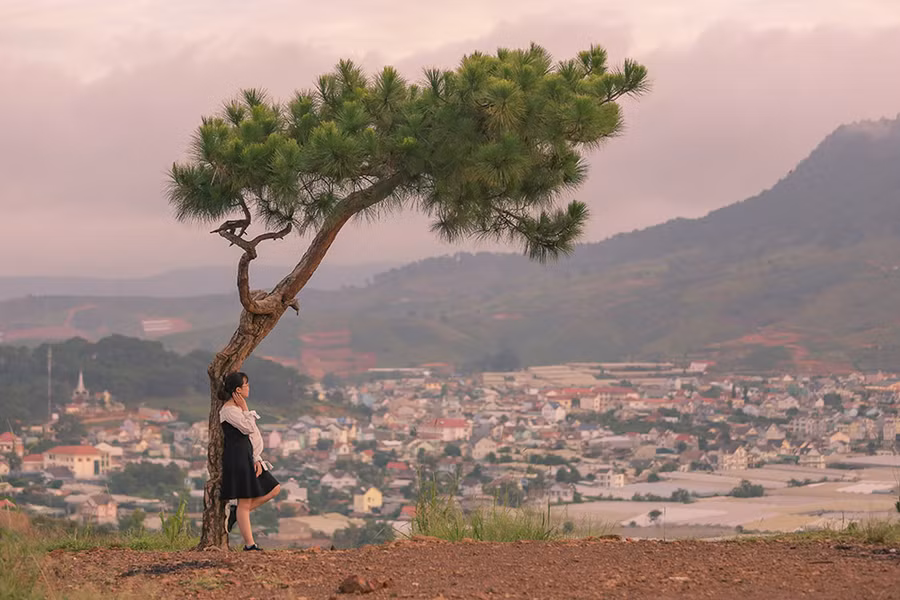 Đồi Đa Phú hướng nhìn về phía trung tâm thành phố Đà Lạt.