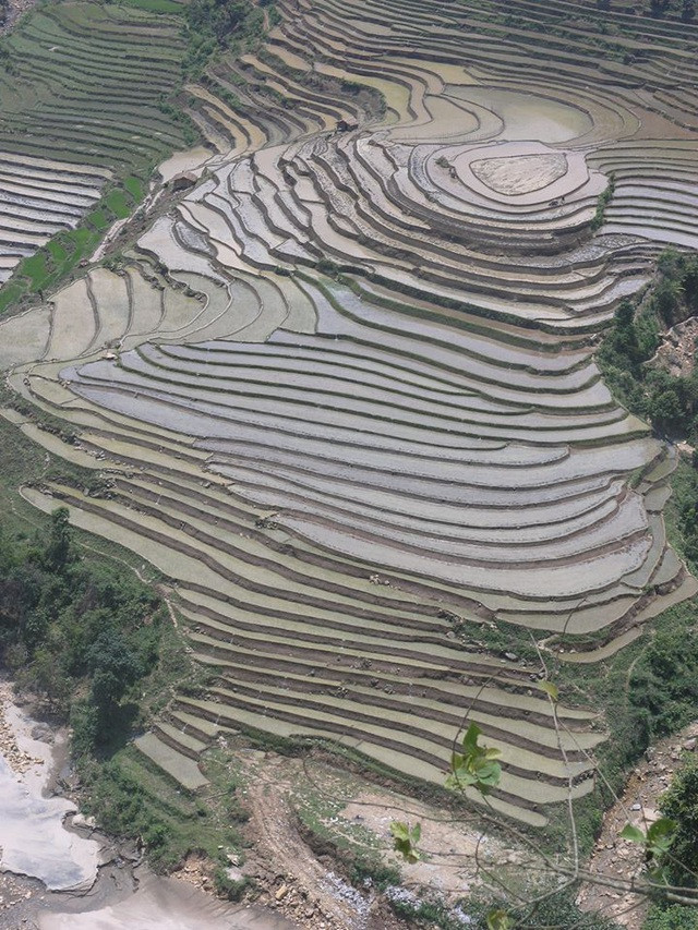 Mãn nhãn với khu ruộng bậc thang mùa nước đổ ở vùng cao Sa Pa.