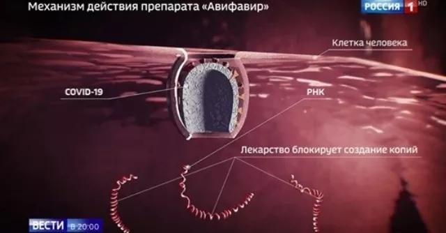 Cơ chế hoạt động của thuốc Avifavir chống Covid-19.