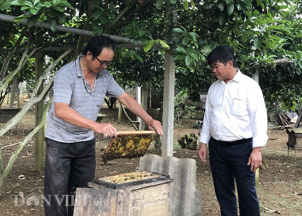 Ông Trần Đình Phong đang trao đổi kỹ thuật nuôi ong mật với cán bộ khuyến nông xã.