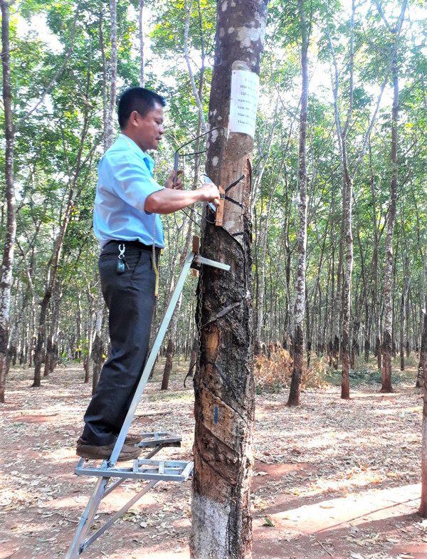 Anh Phan Đình Bổng thao tác trên bộ sáng chế của nhóm. Ảnh: Đ.Y