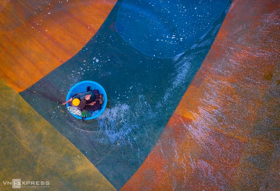 Bức họa đồng quê đẹp mê mẩn ở Bình Định ảnh 2