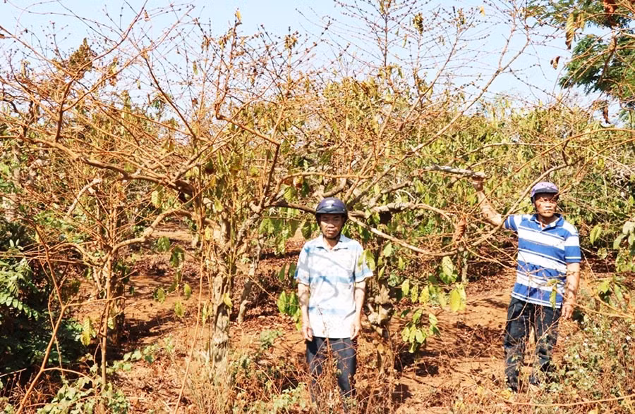 Các hộ dân mong sớm nhận được bồi thường tài sản trên đất theo đúng quy định của Nhà nước khi thu hồi đất.