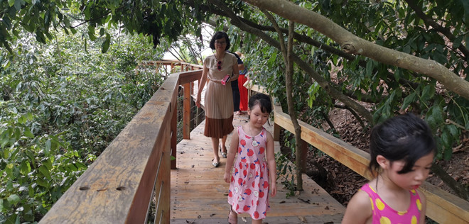 Đến đảo Soi Sim, du khách không thể bỏ qua hành trình khám phá rừng nguyên sinh với cầu thang bộ bằng gỗ độc đáo ẢNH LÃ NGHĨA HIẾU