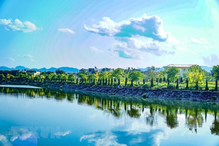 Vẻ đẹp của muồng hoàng yến giúp khung cảnh bờ sông Nậm Rốm thêm thơ mộng và quyến rũ. (Ảnh: Xuân Tư/TTXVN)