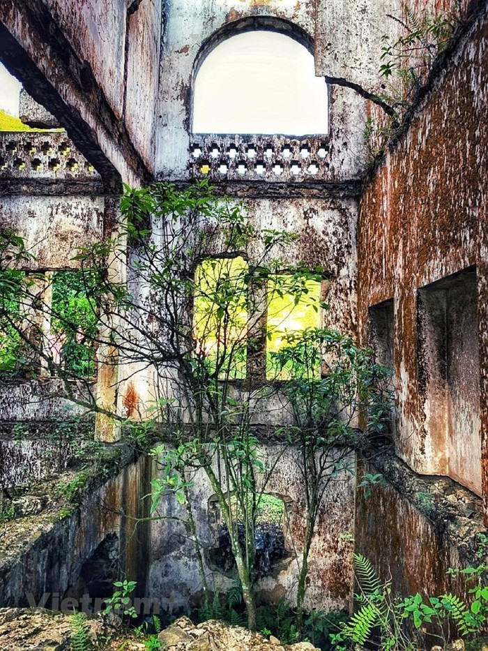 (Ảnh: Xuân Mai/Vietnam+) (Ảnh: Xuân Mai/Vietnam+)